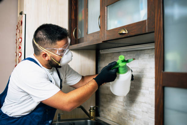 Pest Control for Restaurants in Frostburg, MD