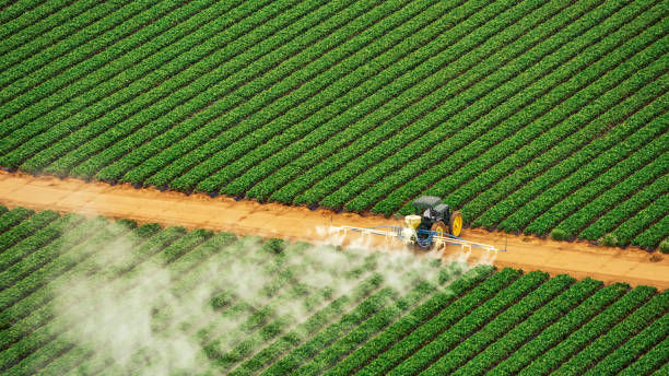 Best Commercial Pest Control Services  in Frostburg, MD